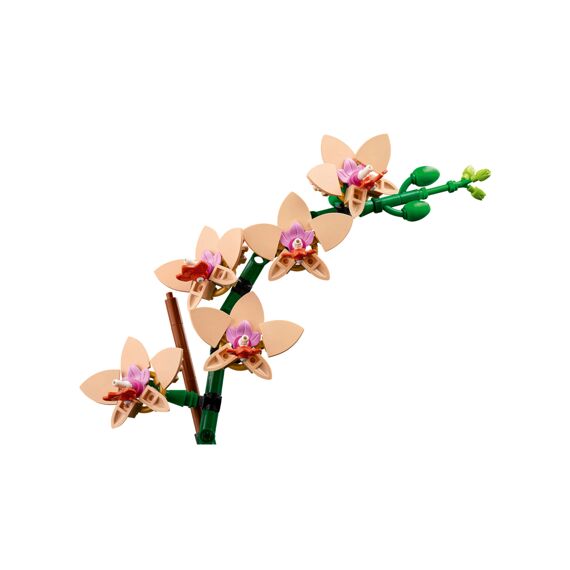 Lego Botanicals Miniorchidee 10343