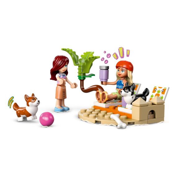 Lego Friends Surf- En Scooterplezier Met De Honden 42641