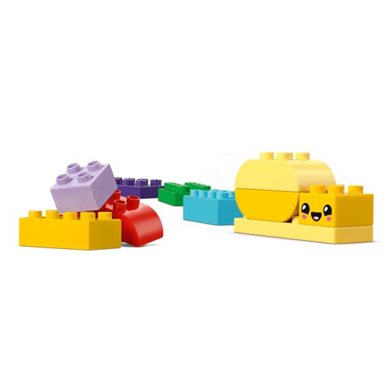 Lego Duplo Creatieve Bloementuin 10444