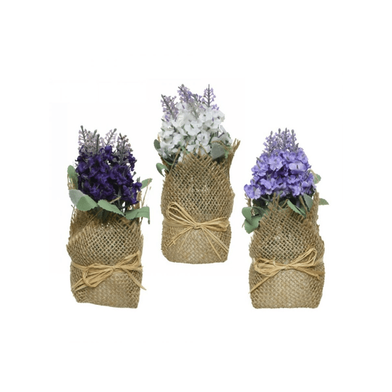 Lavendel Plastic L7.00-w7.00-h17.00cm Assortiment Prijs Per Stuk