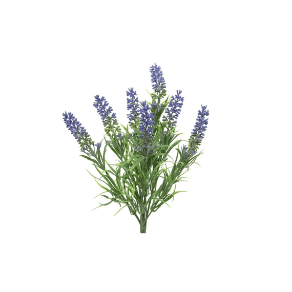 Lavendel Plastic L13.00-w13.00-h34.00cm Paars