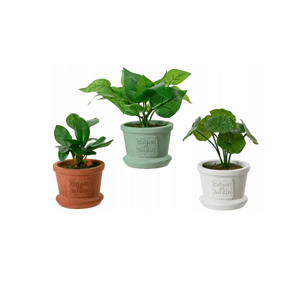 Plant Pe L8.00-w8.00-h17.00cm Groen/kleur(en) Assortiment Prijs Per Stuk