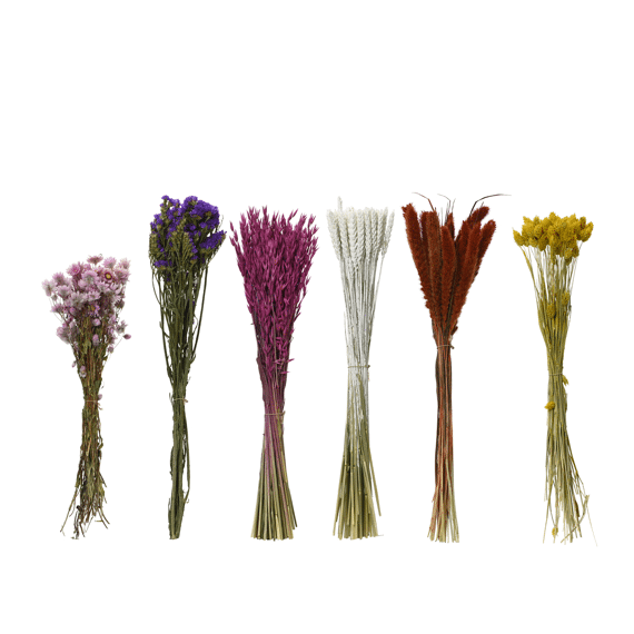 Bloem Op Steel Droogbloem Dia14.00-l55.00cm Assortiment Prijs Per Stuk