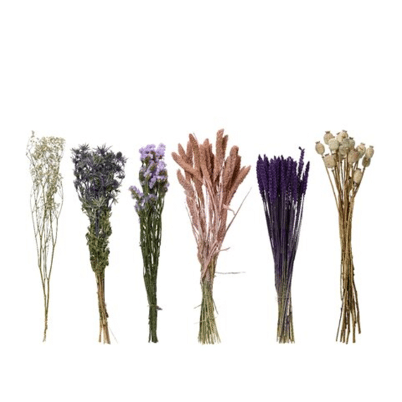 Bloem Op Steel Droogbloem Dia14.00-l55.00cm Assortiment Prijs Per Stuk