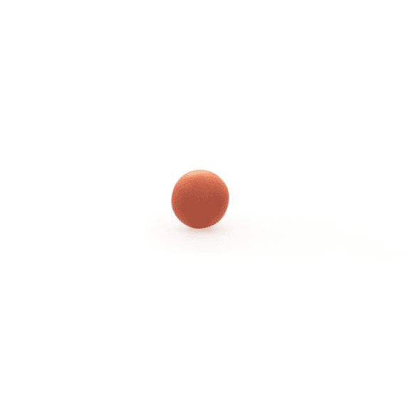 Debock Lentilles 1kg Oud Roos