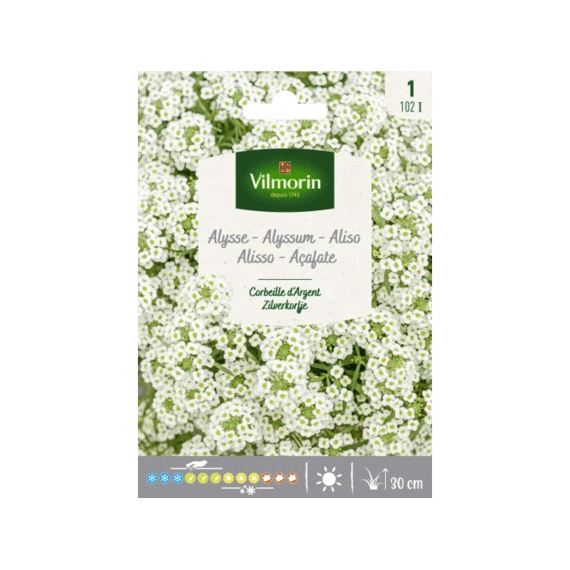 Vilmorin Alyssum Zilverkorfje