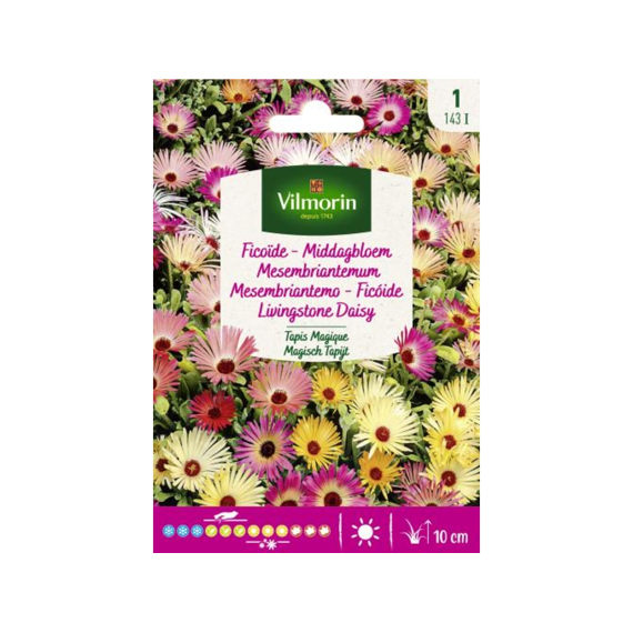 Vilmorin Middagbloem Magisch Tapijt
