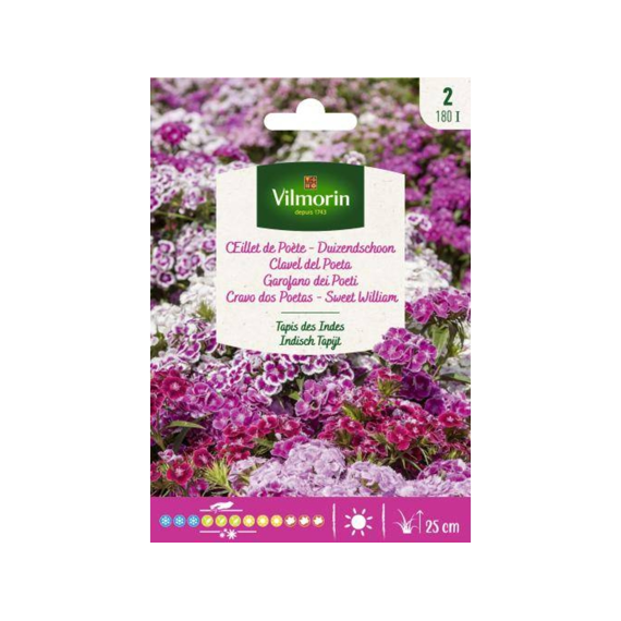Vilmorin Duizendschoon Indisch Tapijt