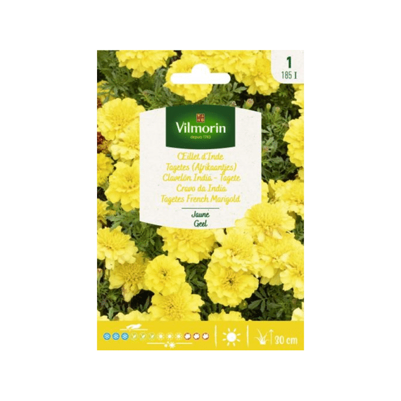 Vilmorin Tagetes (afrikaantjes) Citroen Globe