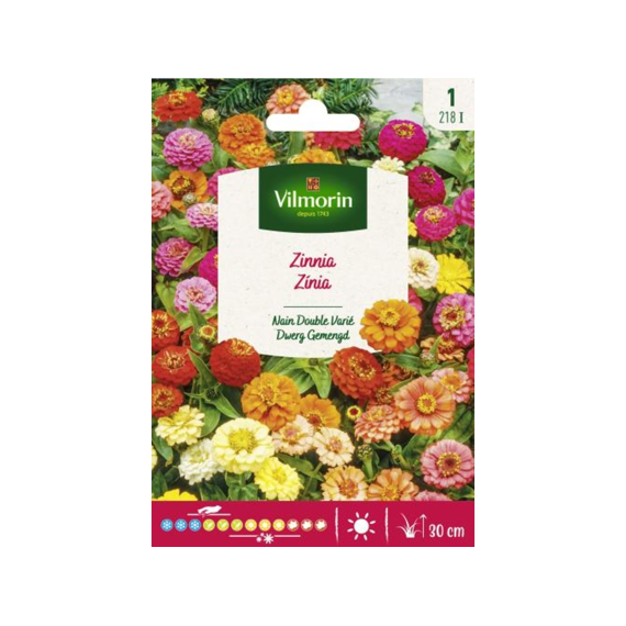 Vilmorin Zinnia Dwerg Gemengd