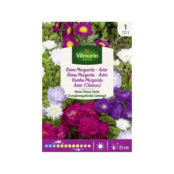 Vilmorin Aster Dwergkoninginboeket Gemengd