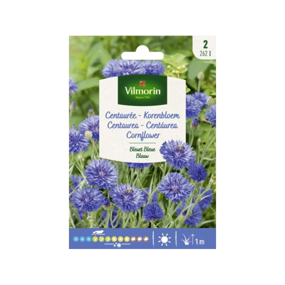 Vilmorin Korenbloem Blauwe