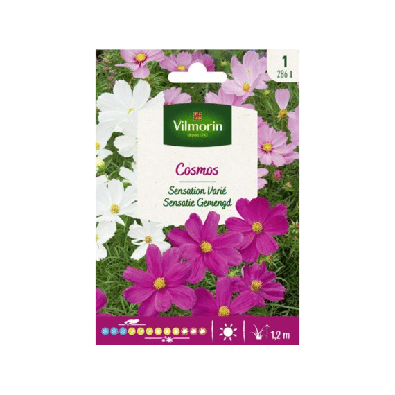 Vilmorin Cosmos Sensatie Gemengd