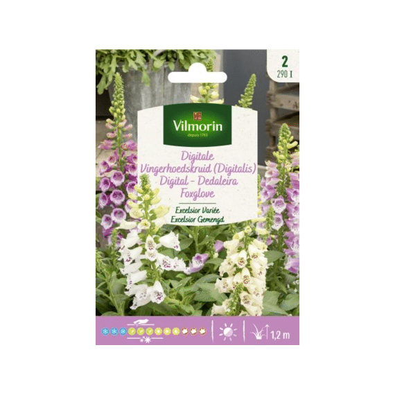 Vilmorin Vingerhoedskruid (digitalis) Excelsior Gemengd