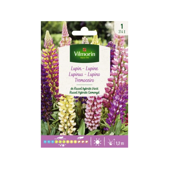 Vilmorin Lupine Russel Gemengd