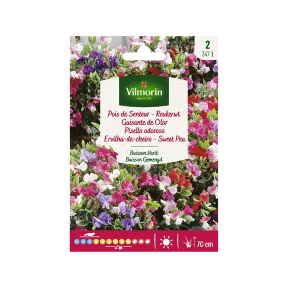 Vilmorin Reukerwt Buisson Gemengd
