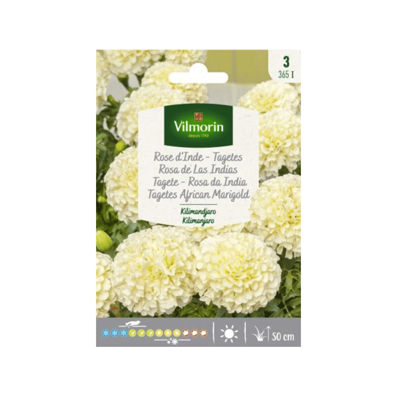 Vilmorin Tagetes Grootbloemig Kilimanjaro