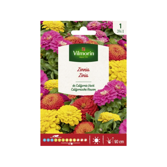 Vilmorin Zinnia Californische Reuzen