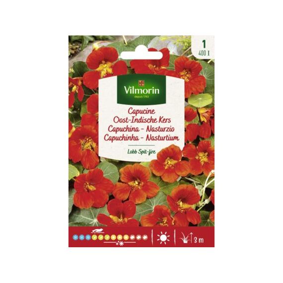 Vilmorin Oost-indische Kers Lobb Spit-fire