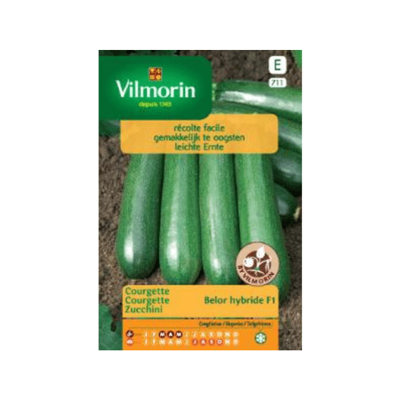 Vilmorin Courgette Belor Hf1