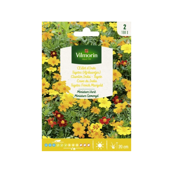 Vilmorin Tagetes (afrikaantjes) Miniature