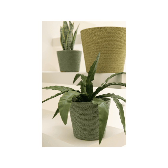 J-Line Bloempot Papier/pet Groen M 15x15x13cm 2 Assortiment