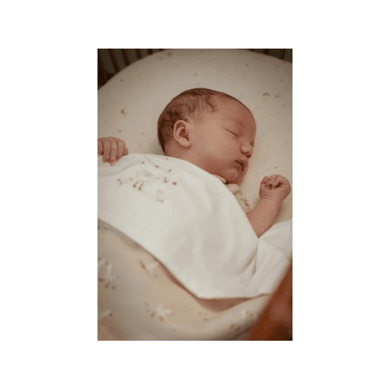 Little Dutch Newborn Naturals Wieglaken Geborduurd Little Goose