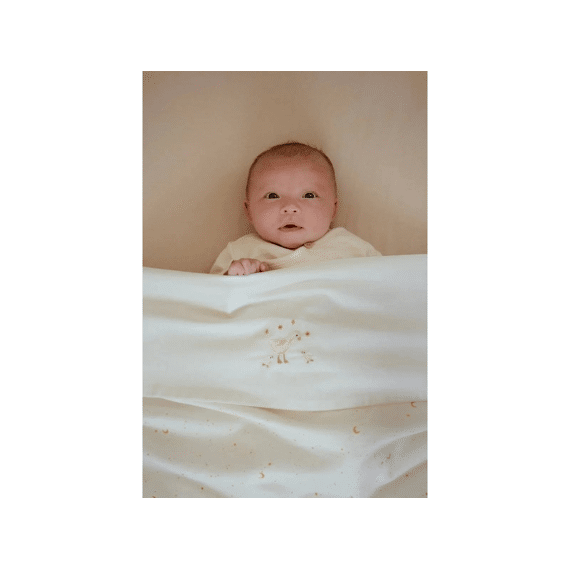 Little Dutch Newborn Naturals Wieglaken Geborduurd Little Goose