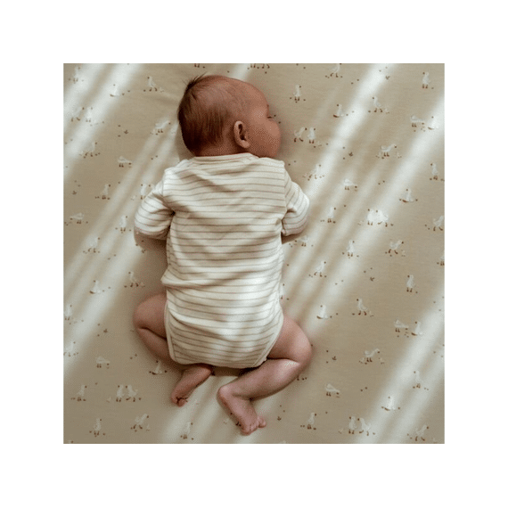 Little Dutch Newborn Naturals Wiegdeken Little Goose