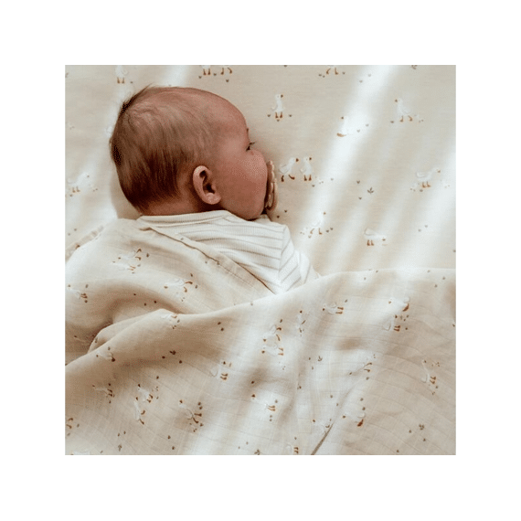 Little Dutch Newborn Naturals Wiegdeken Little Goose