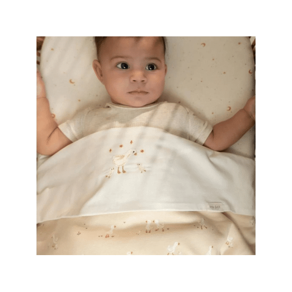 Little Dutch Newborn Naturals Ledikantdeken Little Goose