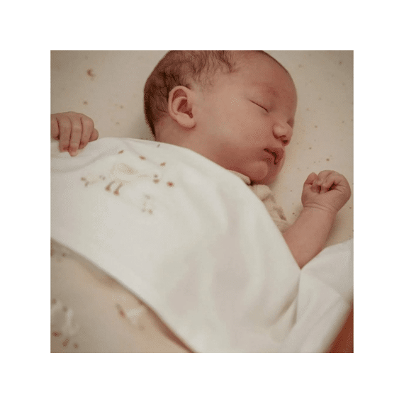 Little Dutch Newborn Naturals Ledikantdeken Little Goose