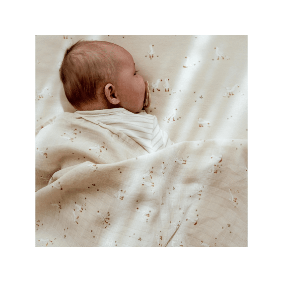 Little Dutch Newborn Naturals Swaddle Doek Hydrofiel 120x120 Little Goose