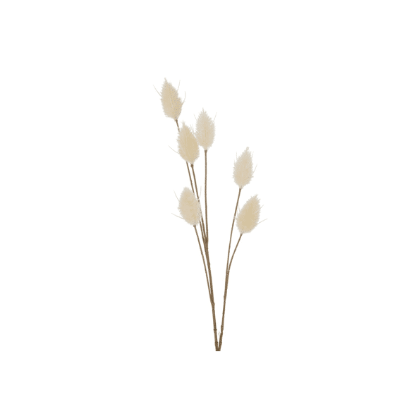 Decorative Branch Velvet Grass Lagurus Ovatus L Indoor H 2 Cm Iron Plastic  Assortiment Prijs Per Stuk