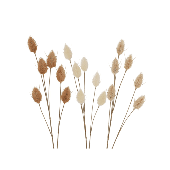 Decorative Branch Velvet Grass Lagurus Ovatus L Indoor H 2 Cm Iron Plastic  Assortiment Prijs Per Stuk