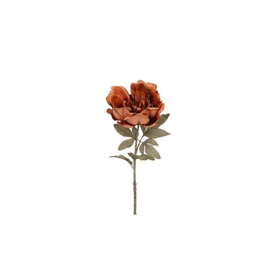 Peony Sibel Xl Bruin L60b16h16cm