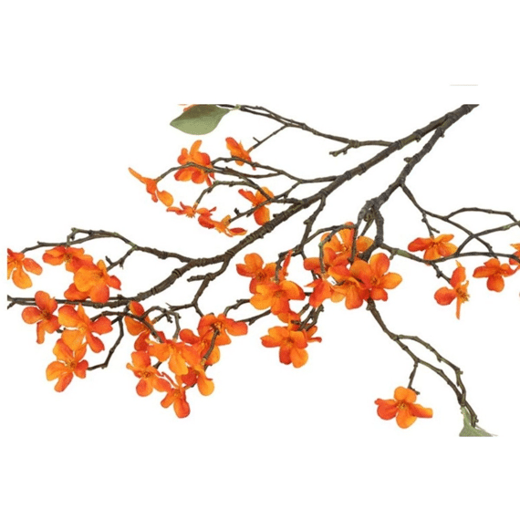 Malus Oranje L30b30h86,4cm