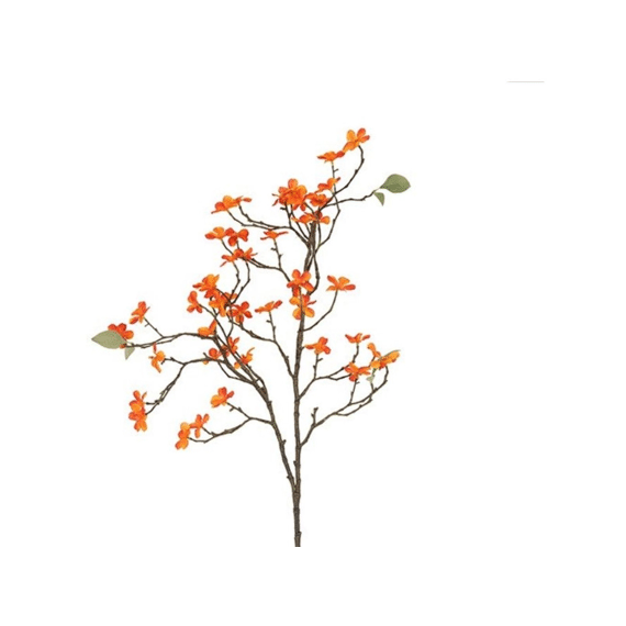 Malus Oranje L30b30h86,4cm