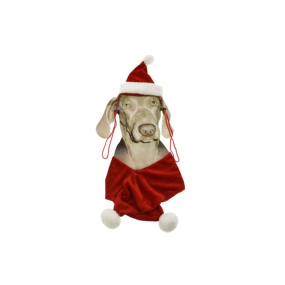 Kerstpakje Voor Hond Muts+sjaal
