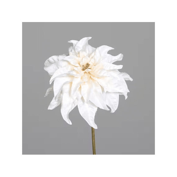 Poinsettia Velvet 57 Cm Cream
