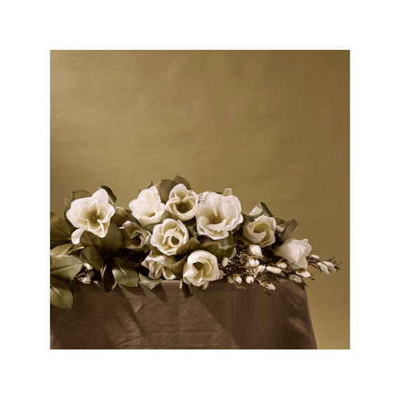 Magnolia With Two Flowers And One Bud Two Colors Assorted Price Per Stem 83 Cm