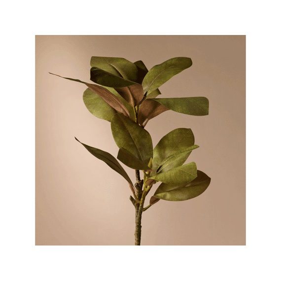 Magnolia With Two Flowers And One Bud Two Colors Assorted Price Per Stem 83 Cm