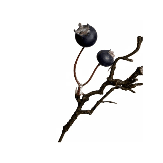 Wild Blueberry Branch 85 Cm