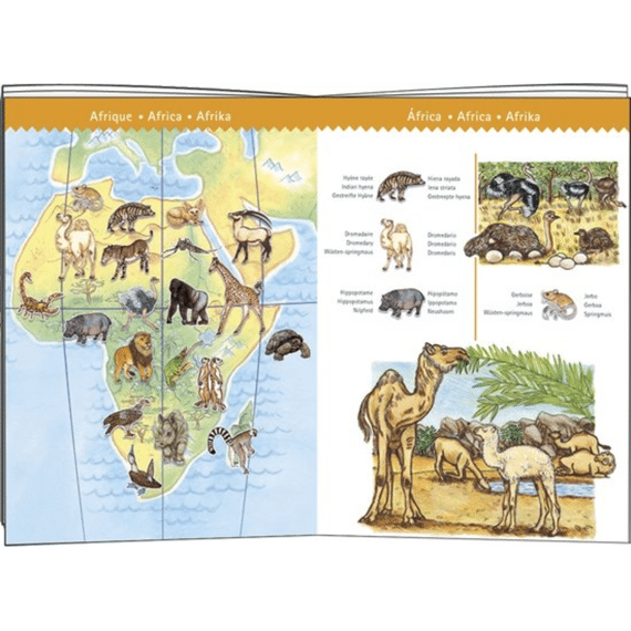 Djeco Puzzel 100st Dieren Van De Wereld