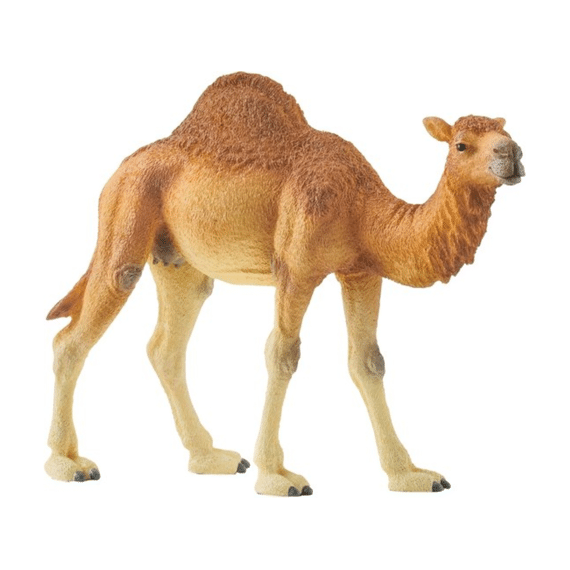 Schleich Wild Life Dromedaris