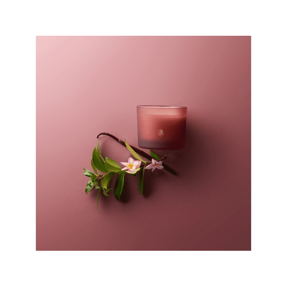 Bolsius Geurglas Met Kurk 66/83 True Joy Floral Blessings