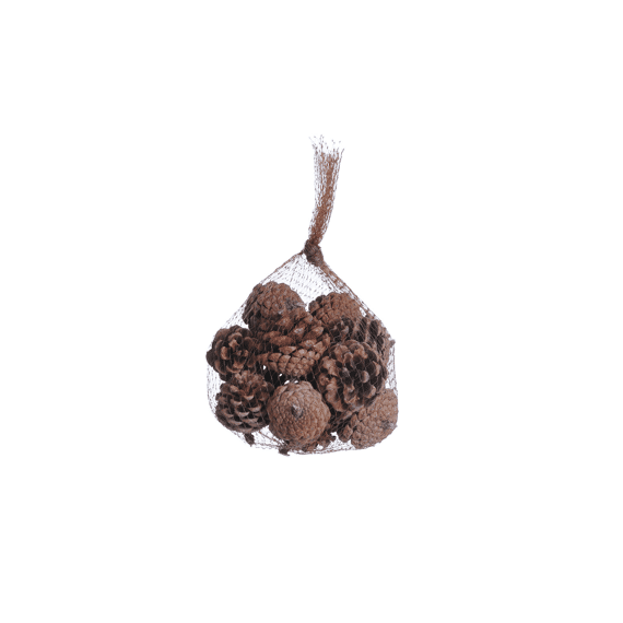 Pinecones In Bag 150gr Natural