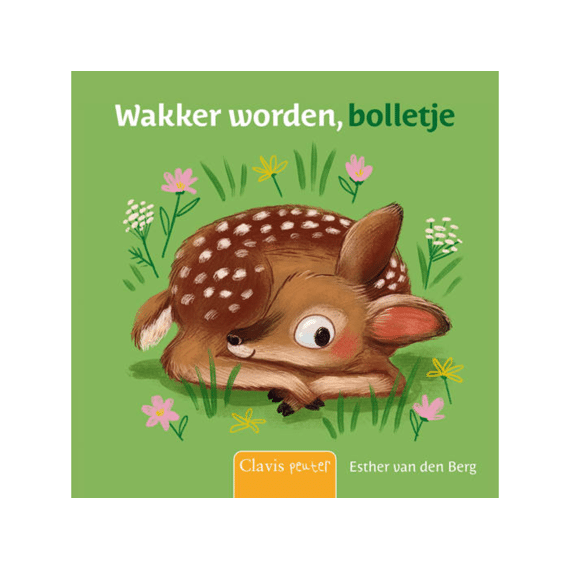 Wakker Worden, Bolletje