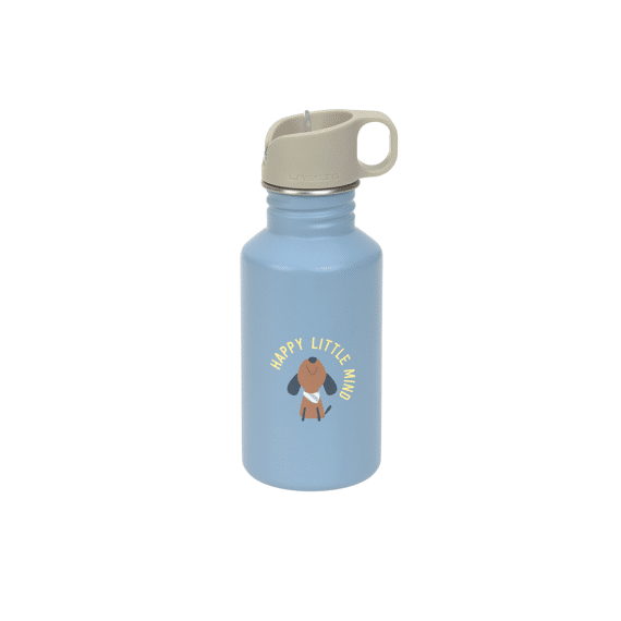 Lassig Bottle Stainless Steel Pattern Party Blue/green, Rcs, Ceres-1418