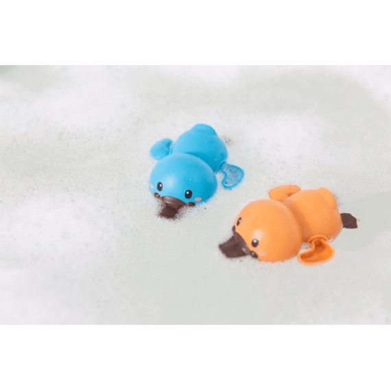 Tiger Tribe Bath Racers Platypuses